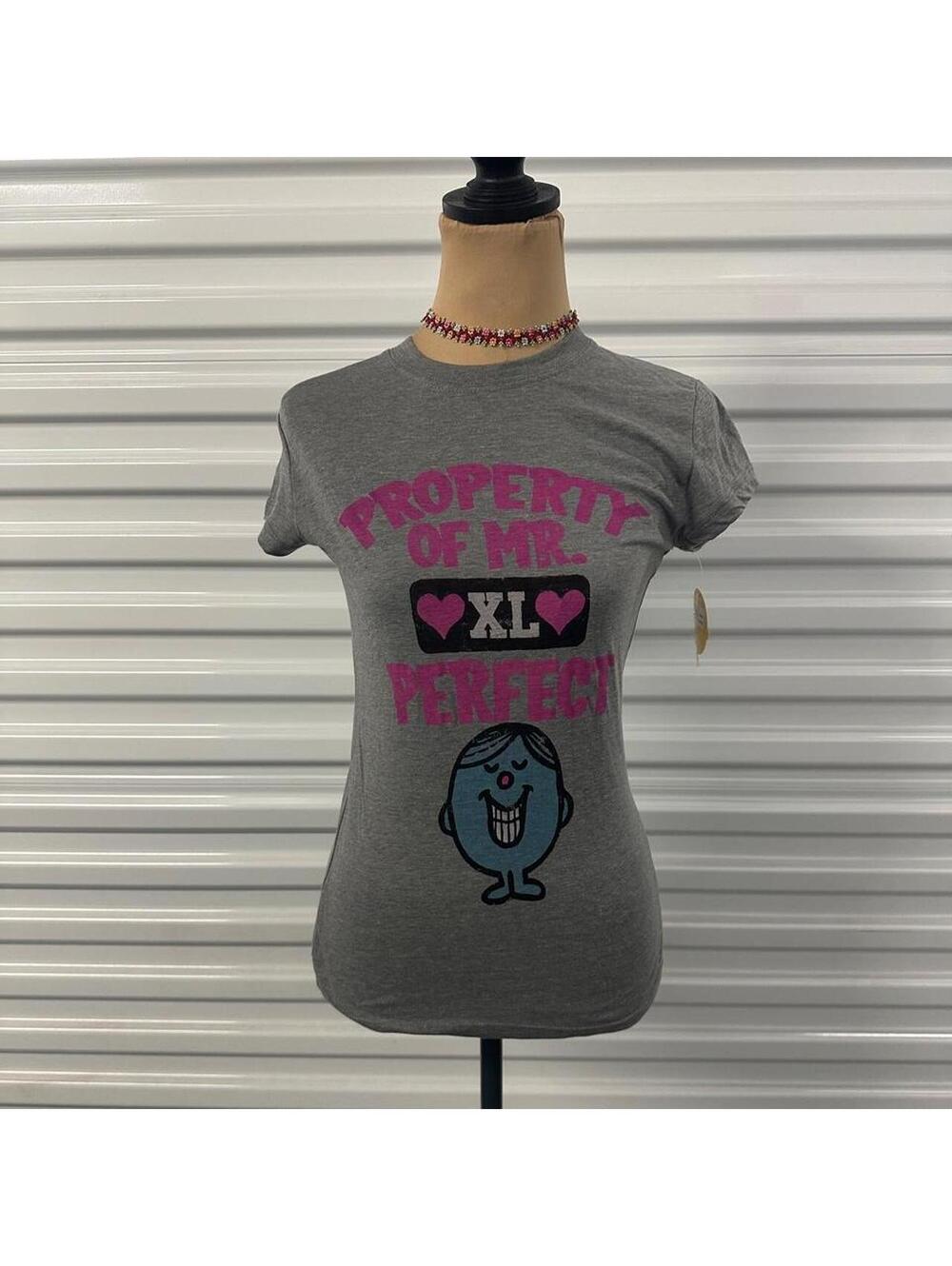 Y2k dead stock Gray property of Mr. Perfect tshirt